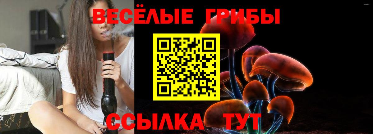 Галлюциногенные грибы ЛСД  Вход с VPN  Чебаркуль  цены наркотик  Псилоцибиновые грибы ЛСД 